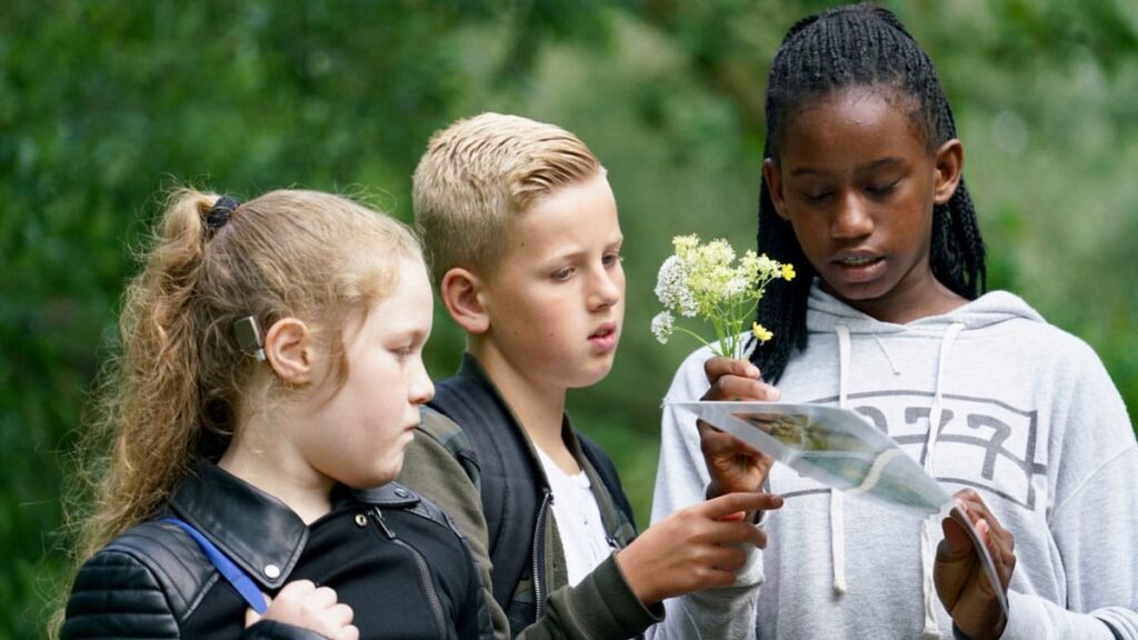 Kinderen tijdens natuureducatie in het bos